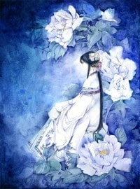 阳七的奋斗